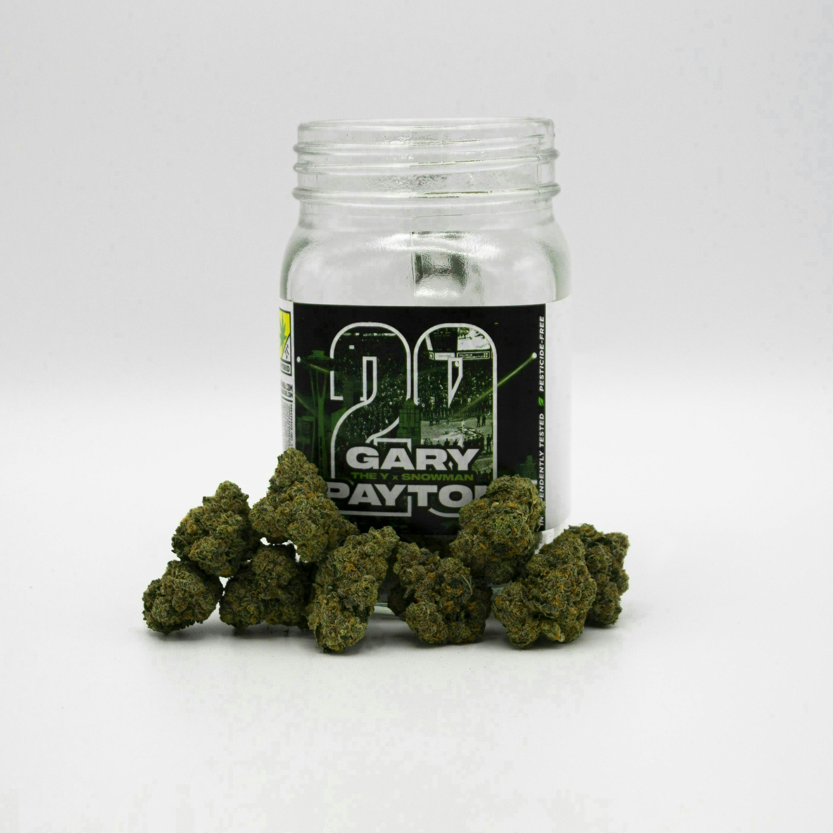 Phat Panda - Gary Payton | Big Buds - 1