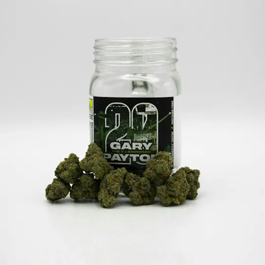 Phat Panda - Gary Payton | Big Buds - 1