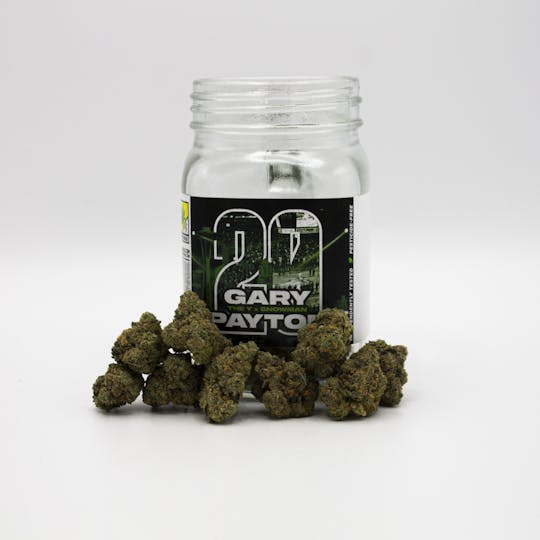 Phat Panda - Gary Payton - WA - 1