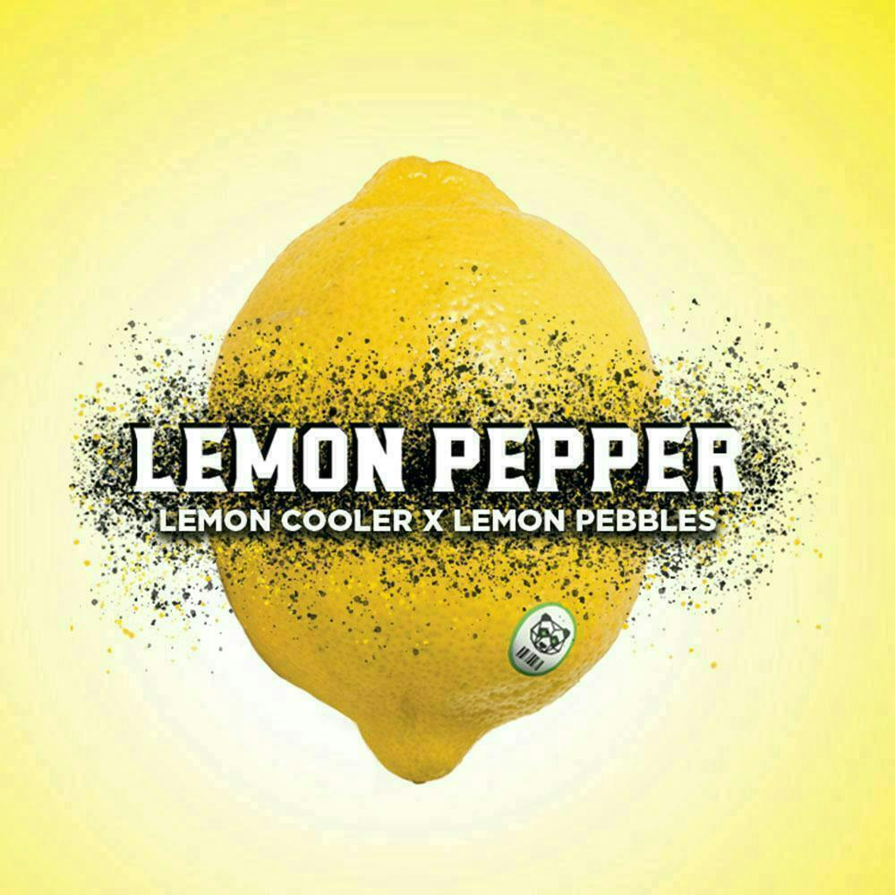 Phat Panda - Lemon Pepper | Joint | 1g - 1