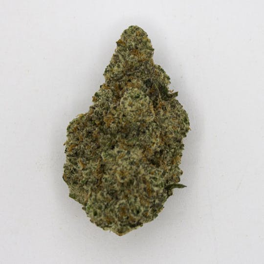 Phat Panda - MAC Berry - WA - 1