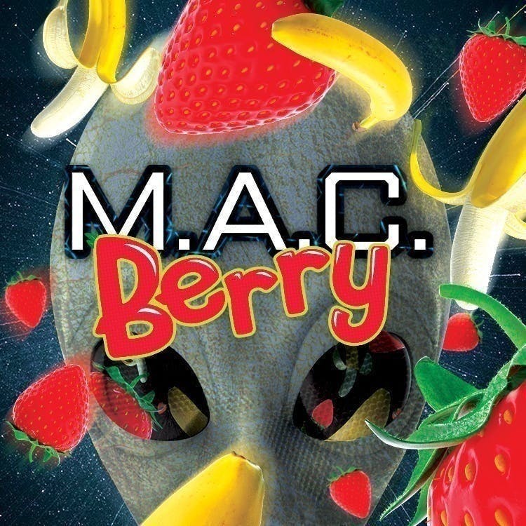 Phat Panda - MAC Berry | Joint | 1g - 1