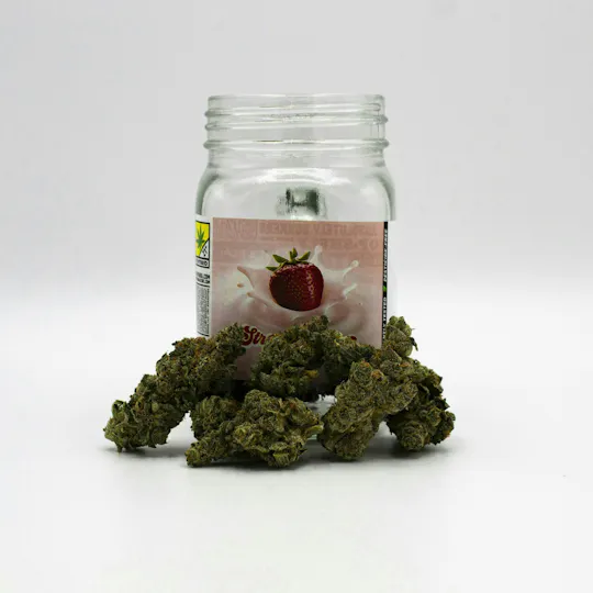 Phat Panda - Strawberries & Cream | Big Buds - 1