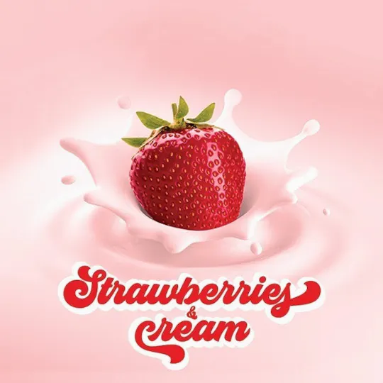 Phat Panda - Phat Panda | Strawberries & Cream | Joint | 1g - 1