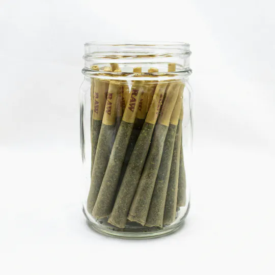 Phat Panda - Phat Panda | Cheetah Piss | Joints | 1g each | 28pk - 1