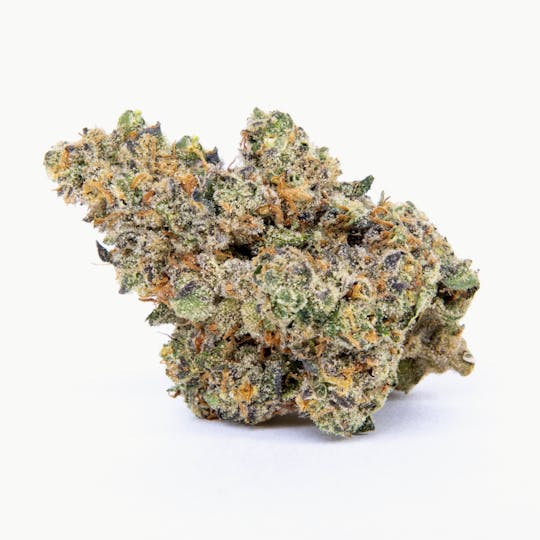 Pure Beauty - Spritzer | 14.17g Indoor - 1