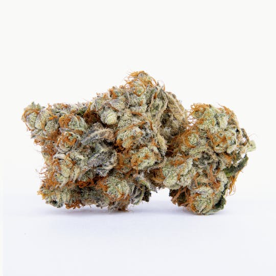 Pure Beauty - Lemon Pastries | 14.17g Indoor - 1