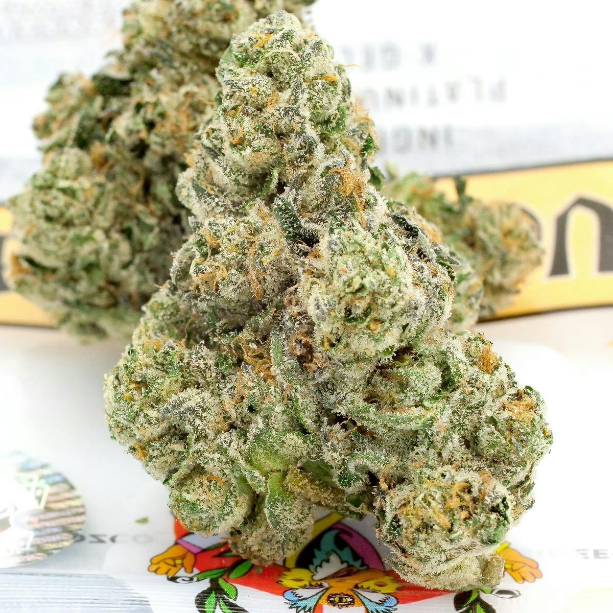 TEDS BUDZ - Teds Budz | Heavy Duck Sauce | 3.5g - 1