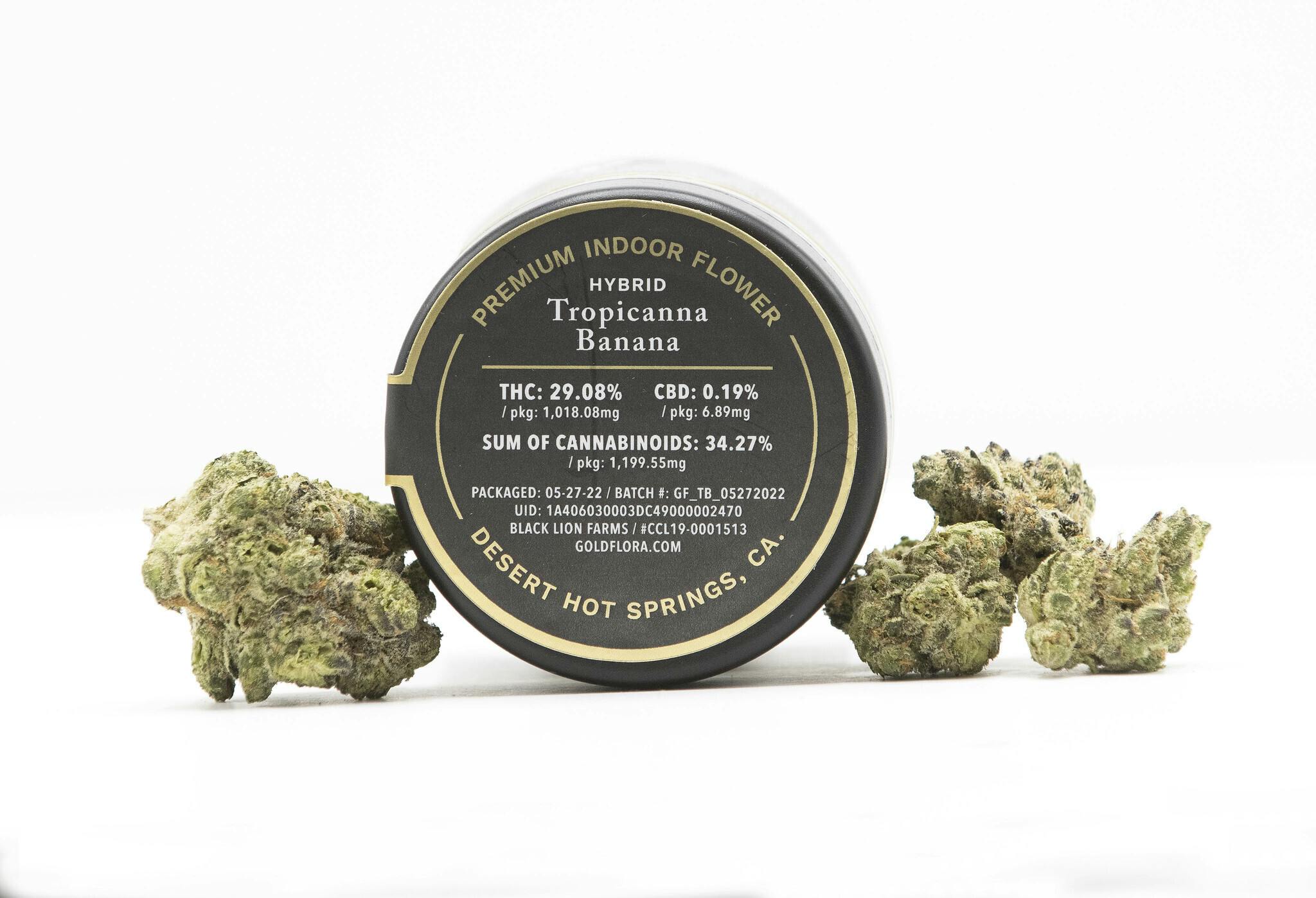 Gold Flora - Tropicanna Banana 3.5g Flower - 1