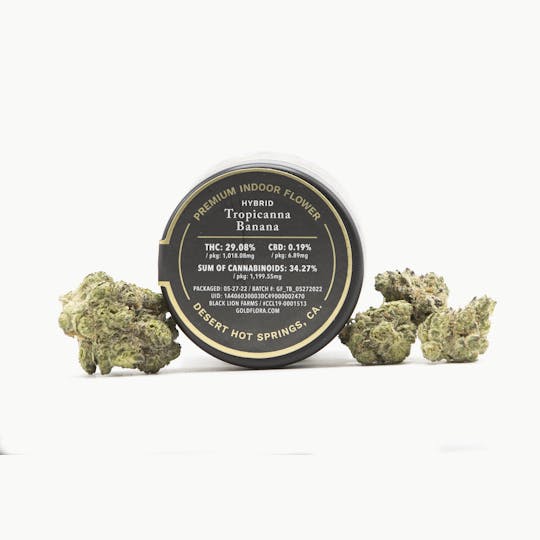 Gold Flora - Tropicanna Banana 3.5g Flower - 1