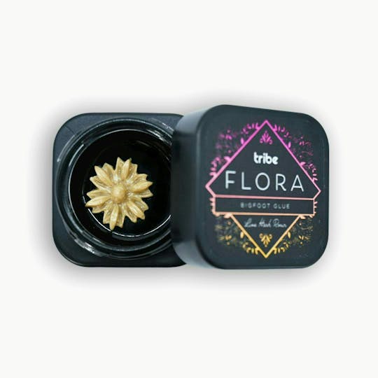 Tribe - Flora - Sunflower - Live Hash Rosin - 0.5g - 1