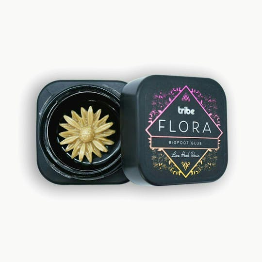 Tribe - Flora - Sunflower - Live Hash Rosin - 1g - 1