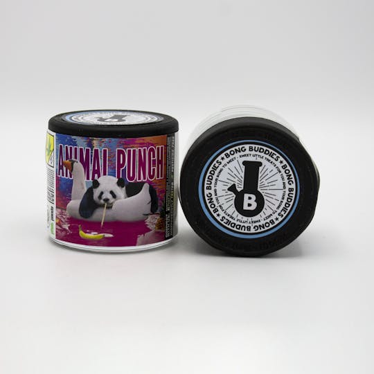 Phat Panda - Animal Punch Bong Buddies - WA - 1