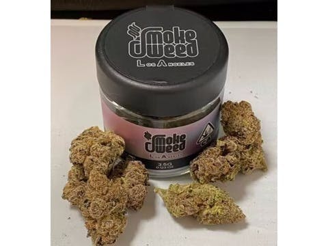 Smoke Weed LA - Smoke Weed LA - Gushers 1g - 1