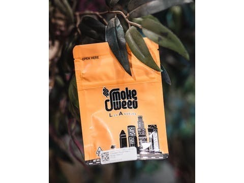 Smoke Weed LA - Smoke Weed LA - London Pound Cake x Jealousy 5g - 1