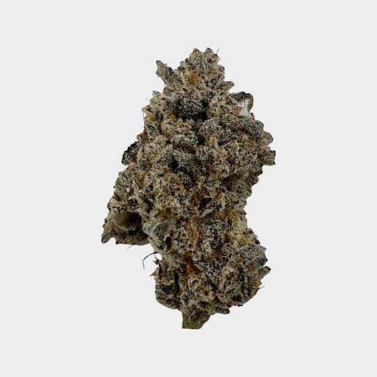 Mainely Dope - Animal Mints - 1