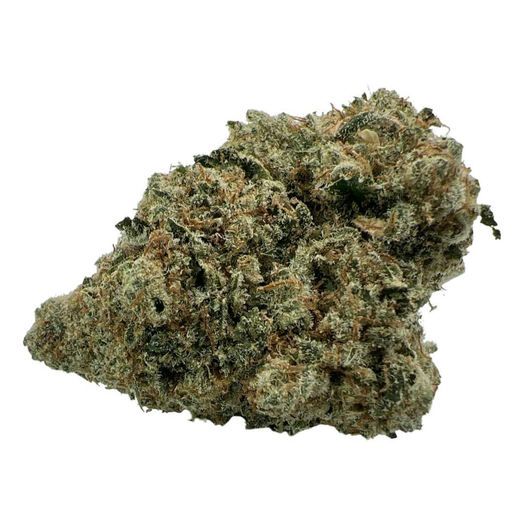 Indico - Pineapple Mimosa By Leb City Greeneries - 1