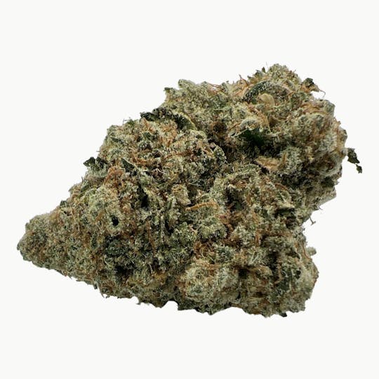 Indico - Pineapple Mimosa By Leb City Greeneries - 1