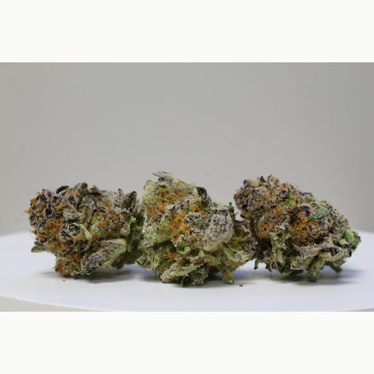 7 Leaf - Mimosa - 1