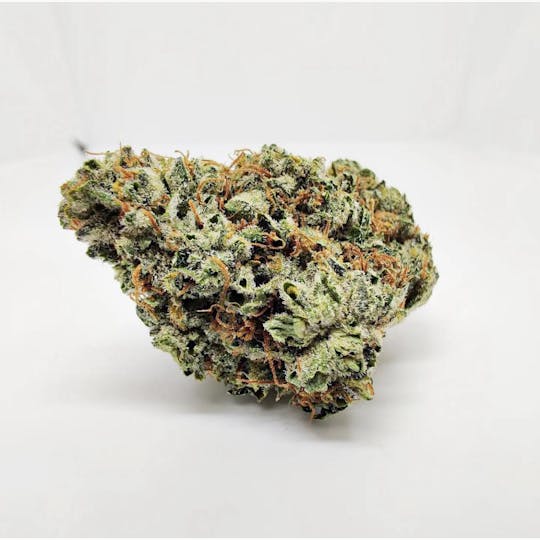 7 Leaf - Beach Crashers - 1