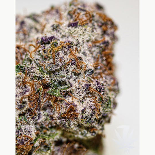 7 Leaf - Da Funk - 1