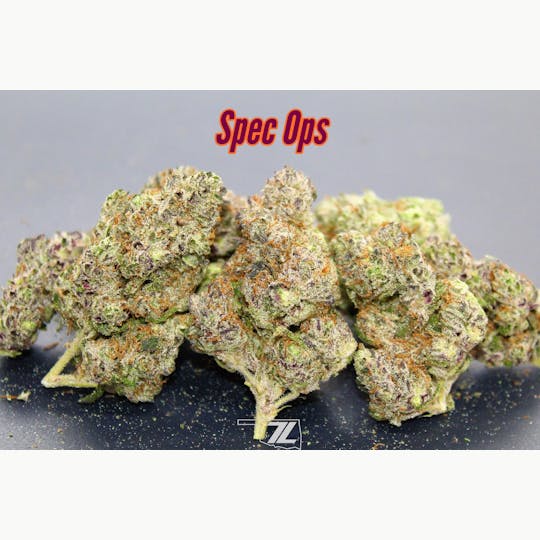 7 Leaf - Spec Ops - 1