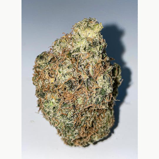 7 Leaf - Kimbo Kush - 1