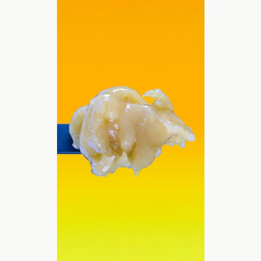 Wonderbrett - Orange Banana Premium Live Badder - 1