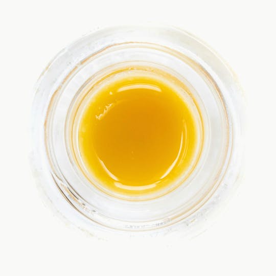 Paper Planes Extracts - Gelato | 1g | Live Resin Batter - 1