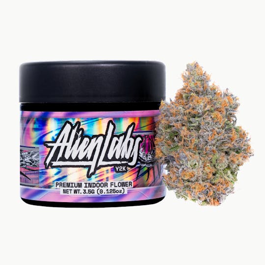 Alien Labs - Y2K - Indoor - 1