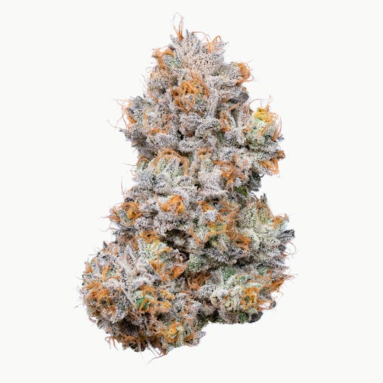 Connected Cannabis Co. - Highrise - 1