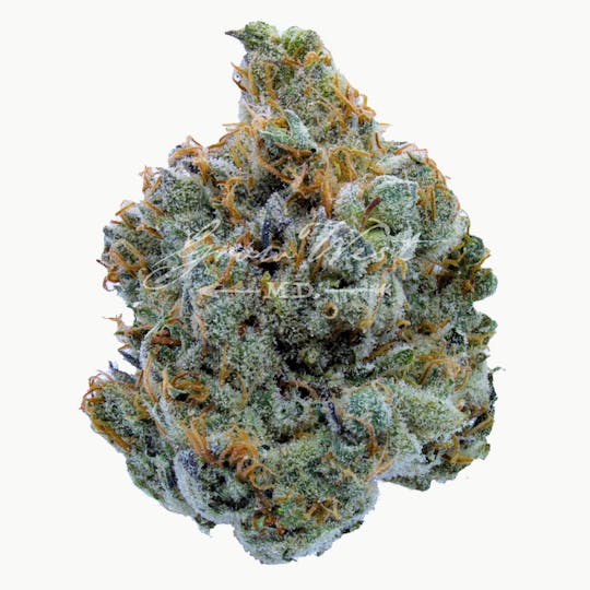 Grow West Cannabis Company - FPOG x Sour Dub | Gold | Trimmed Flower - 1