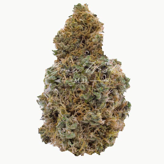 Grow West Cannabis Company - Grape Stomper x The White | Gold | Trimmed Flower - 1