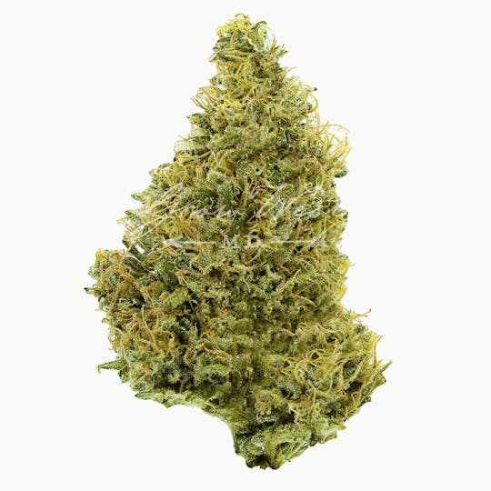 Grow West Cannabis Company - Moonshine Daze | Gold | Trimmed Flower - 1