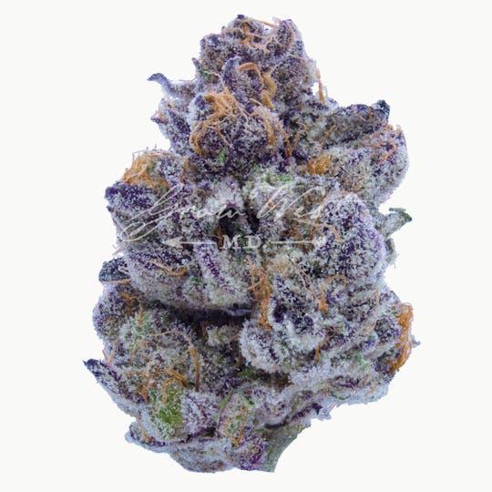 Grow West Cannabis Company - Pie Crust | Gold | Trimmed Flower - 1