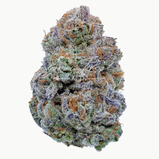 Grow West Cannabis Company - Southwest Stomper x William's Wonder | Gold | Trimmed Flower - 1