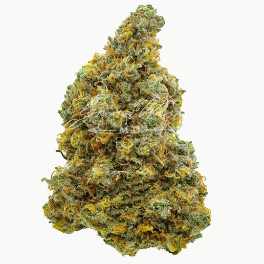 Grow West Cannabis Company - Space Wrangler | Gold | Trimmed Flower - 1