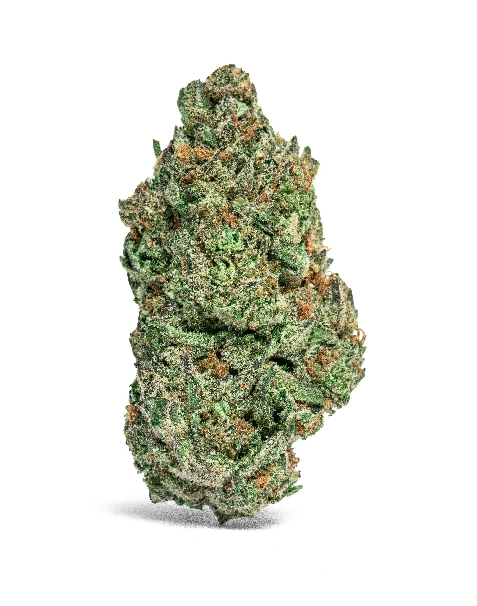 MR. ZIPS - MR. ZIPS | Frozen Oreoz | 3.5g Flower - 1