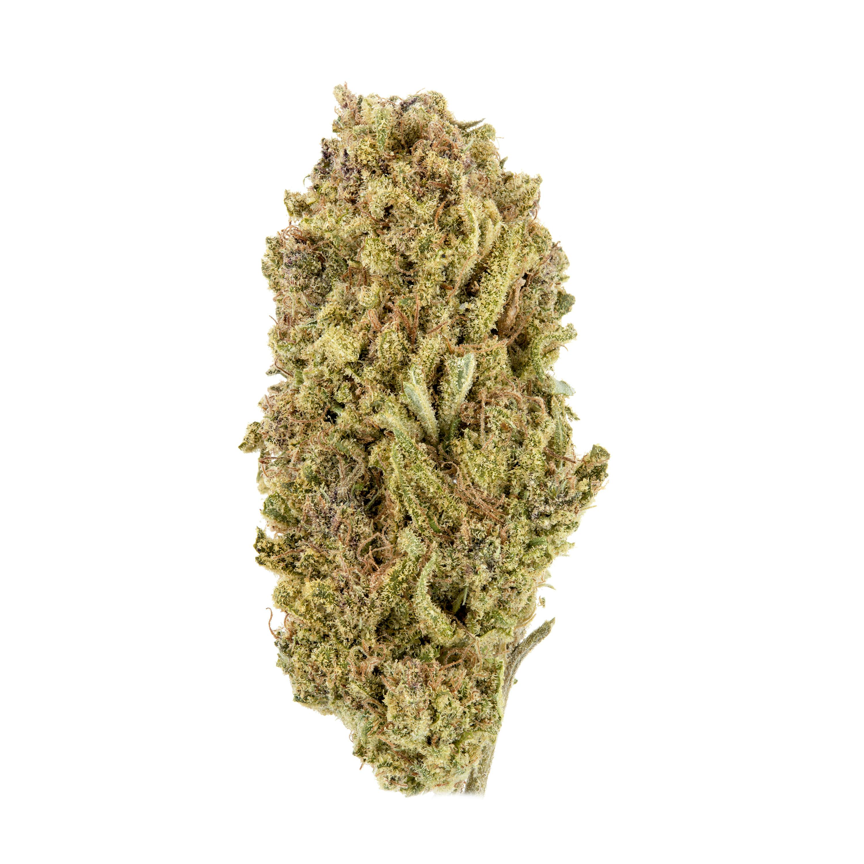 Casacanna - Pink Passionfruit - 1