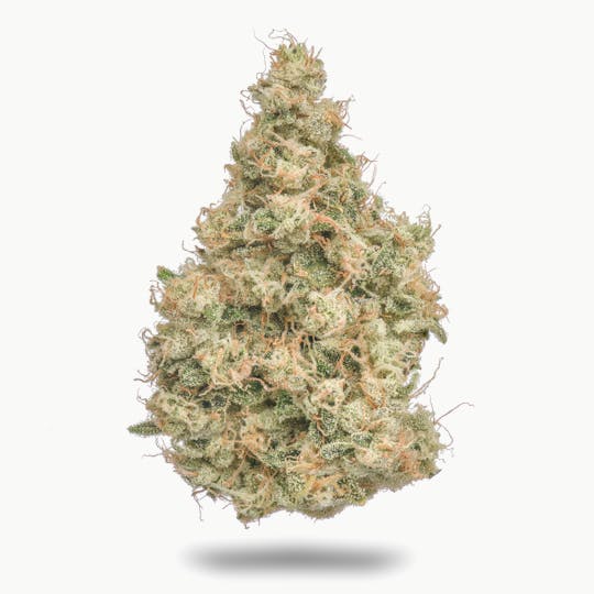 Northern Emeralds - WTF OG - 1