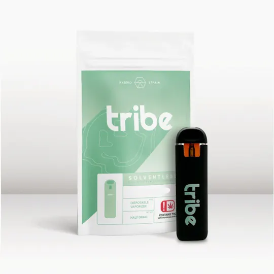 Tribe - Tribe | Pie Face | Live Resin Disposable | .5g - 1