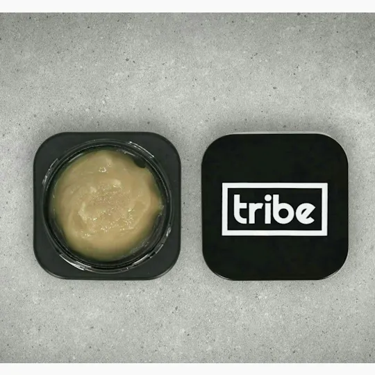 Tribe - Tribe | Gelato | Live Badder Baller | 5g - 1