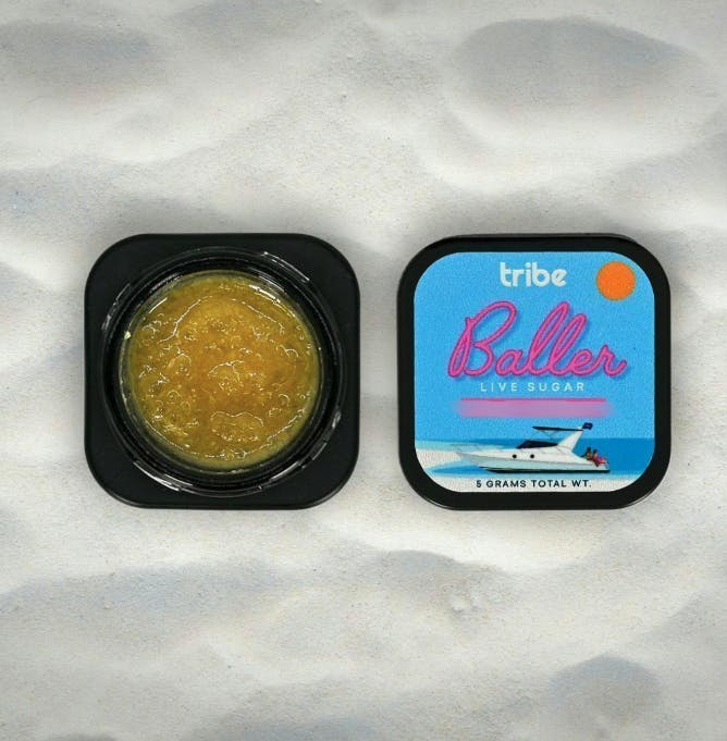 Tribe - Tribe | Gelato | Live Sugar Baller | 5g - 1