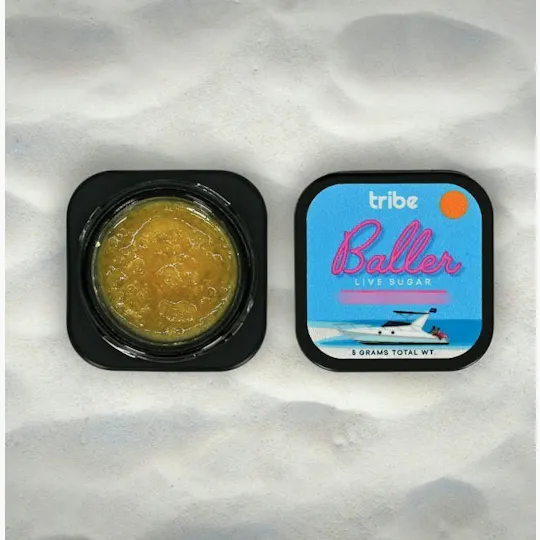 Tribe - Tribe | Gelato | Live Sugar Baller | 5g - 1