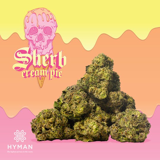 HYMAN - Sherb Cream Pie | 3.5G Pre-Pack | HYMAN x Bonez | MED - 1