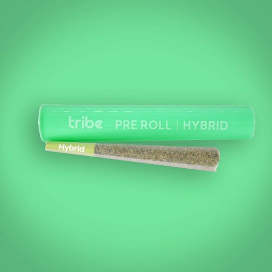 Tribe - Forbidden Runtz - Hybrid - Pre-Roll - 1g - 1