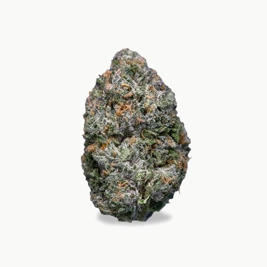 Society C - Society C - White Truffle - 3.5g Flower - 1