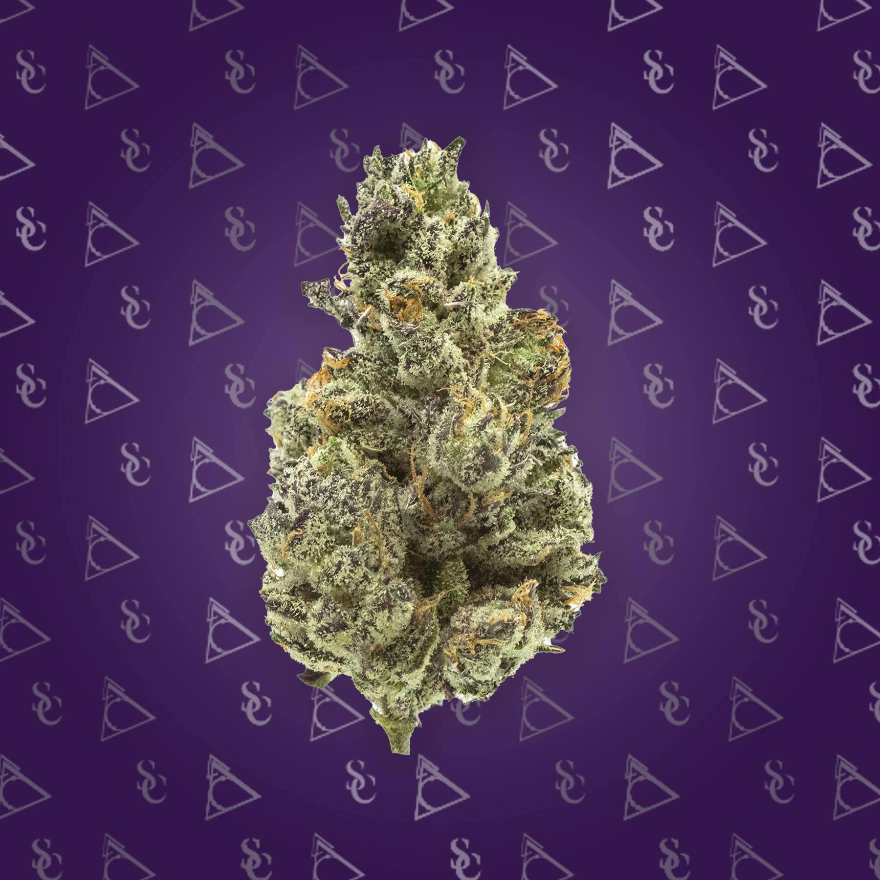 Society C - Society C | White Truffle | Live Rosin Disposable | 0.5g - 1