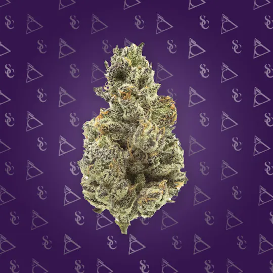 Society C - Society C | White Truffle | Live Rosin Disposable | 0.5g - 1
