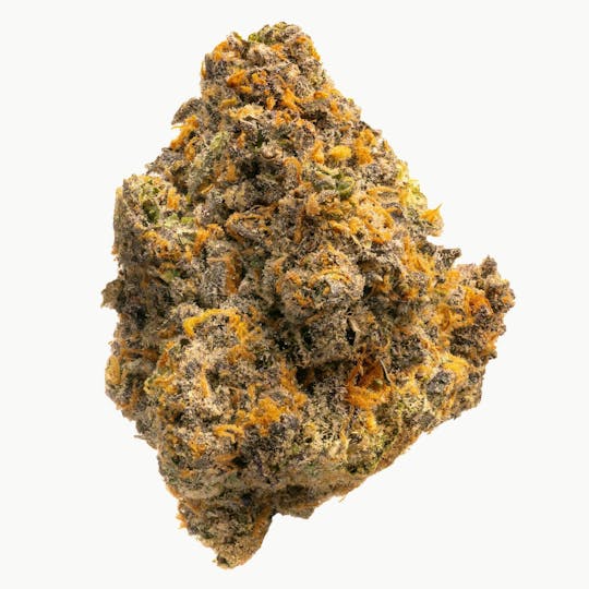 West Coast Cure - RS-11 - 3.5G Top Shelf Indoor Flower - 1